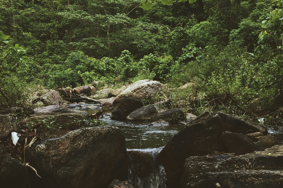 00 taller salud 360 vivir en mayusculas b