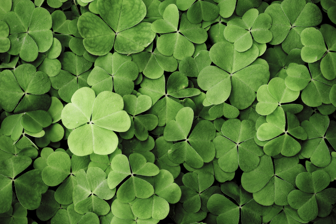 00 taller salud 360 vivir en mayusculas d