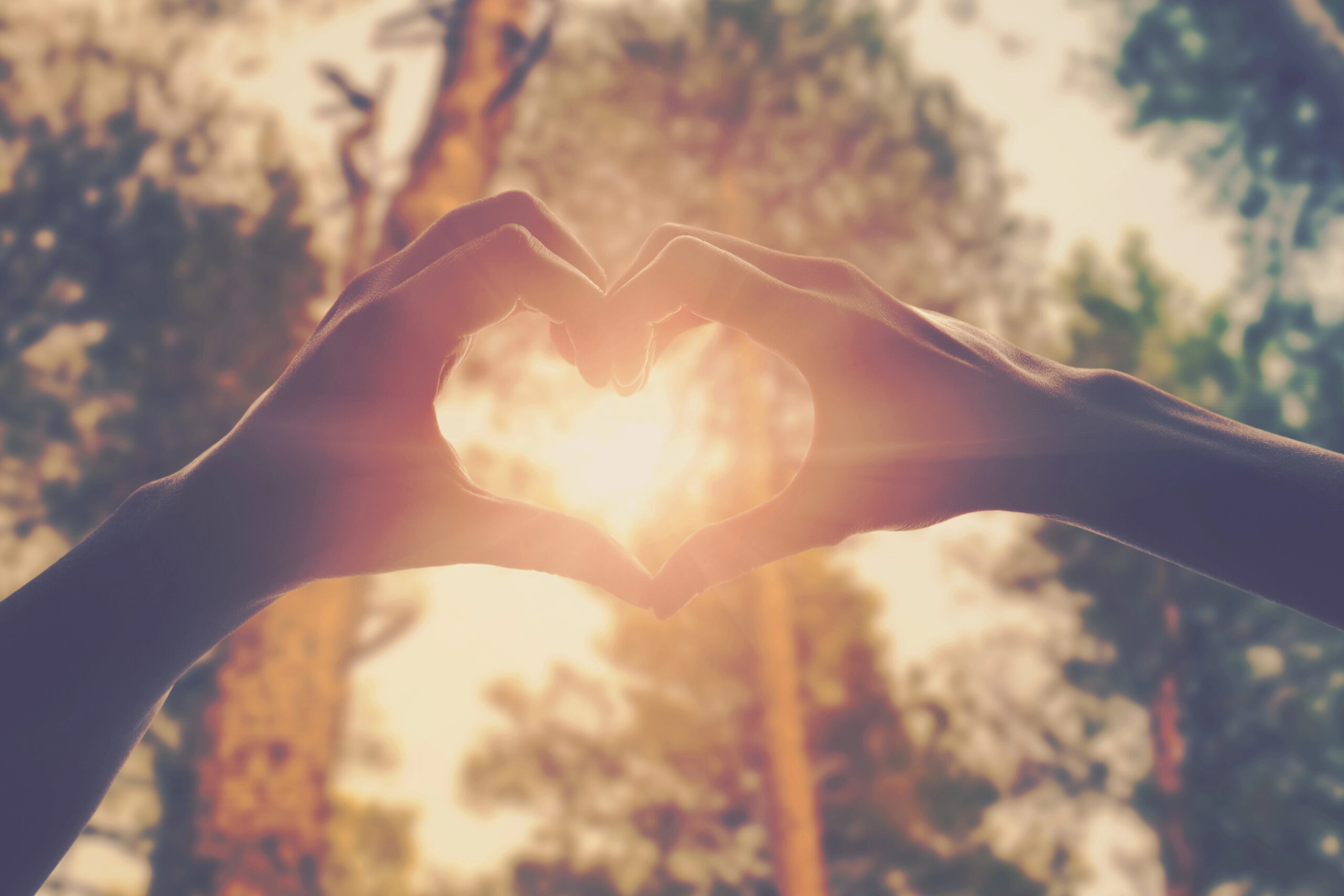 EL PROCESO vivir en mayusculas b