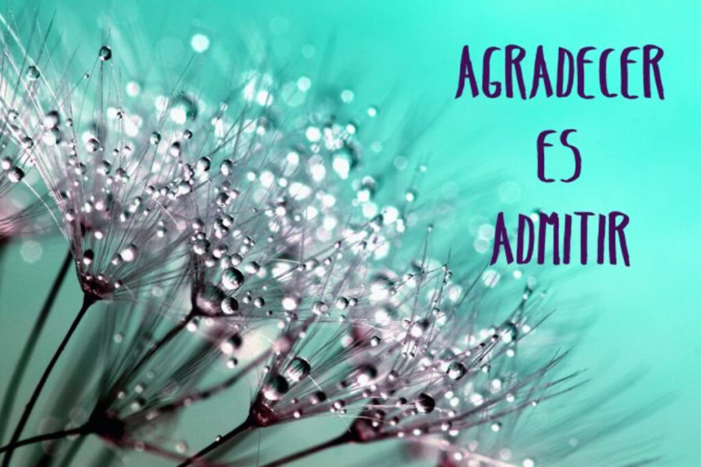 Agradecer es admitir